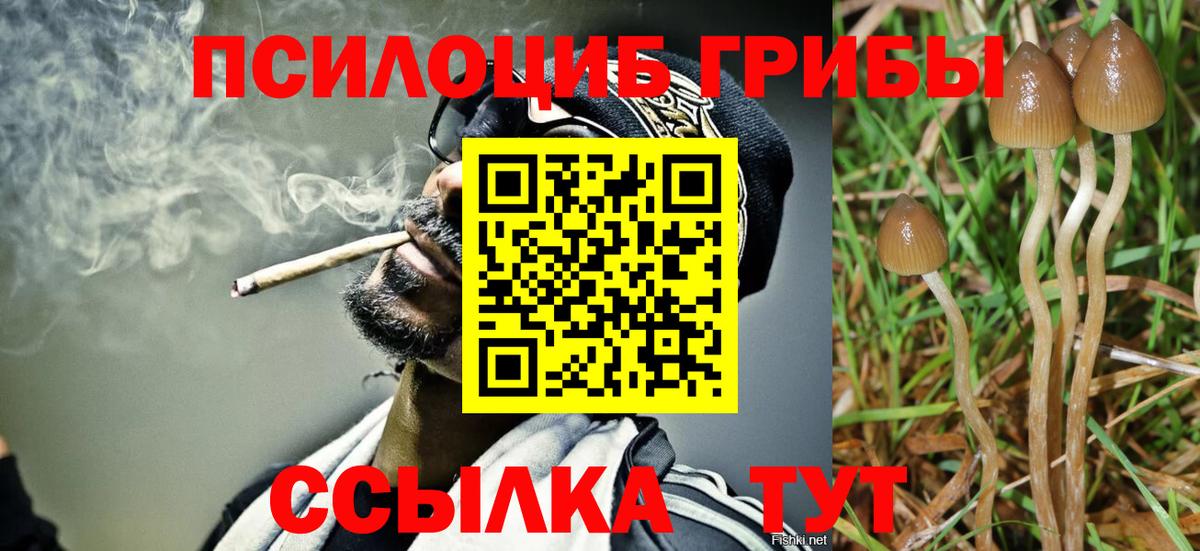 Саратов  наркота  Вход с VPN  Псилоцибиновые грибы Psilocybe  Псилоцибиновые грибы Cubensis 