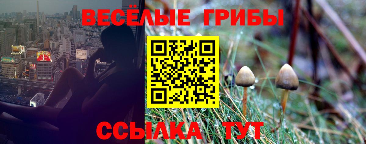 Галлюциногенные грибы Magic Shrooms Саратов